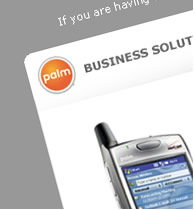 Palm Business Solutions Palm Business Solutions