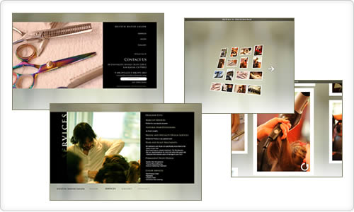 Dustin David Salon website screenshots