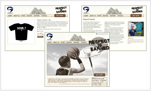 Company website screenshots