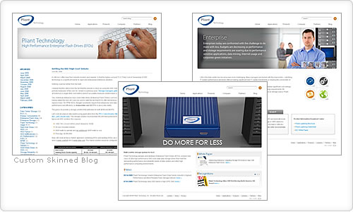 Company website screenshots
